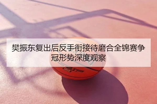 樊振东复出后反手衔接待磨合全锦赛争冠形势深度观察